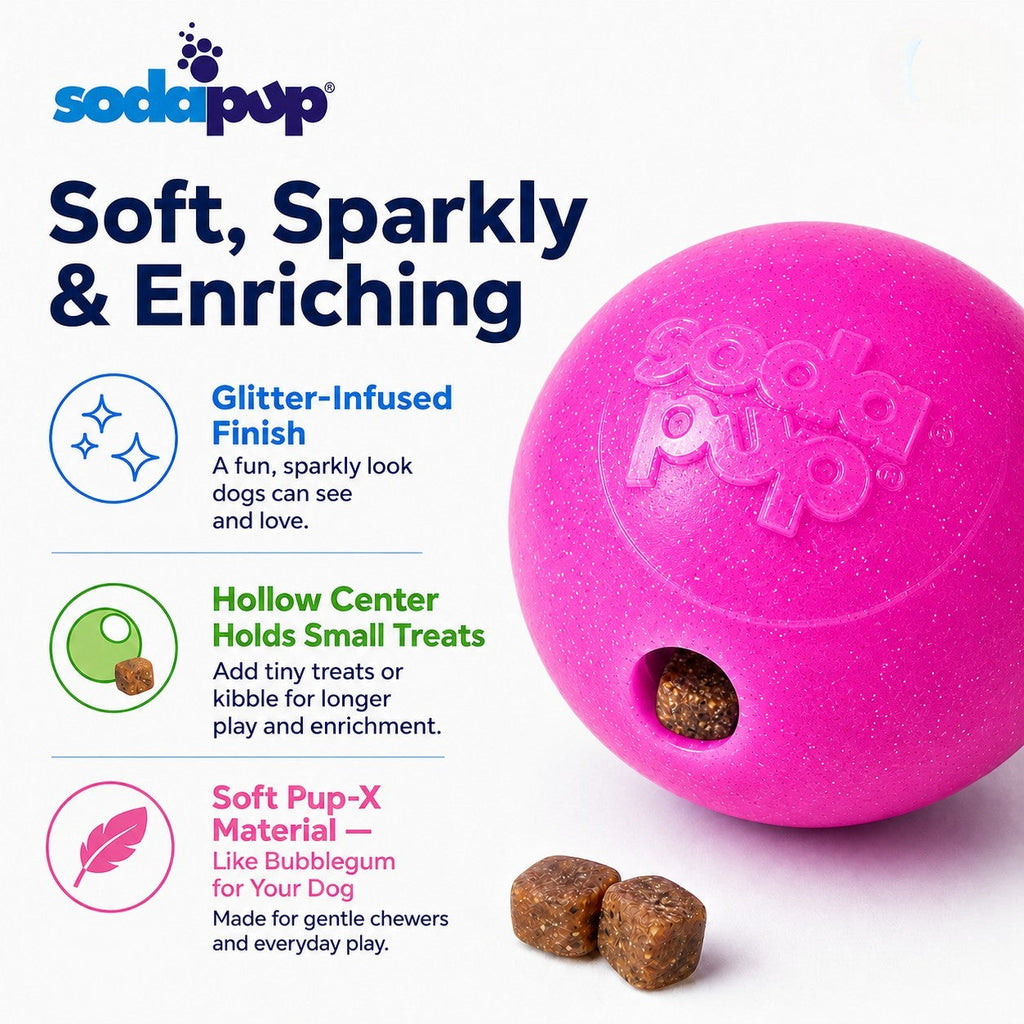 Pink & Blue Glitter Ball 2-Pack Dog Toy | Soft PUP-X Rubber Floating Fetch Ball with Treat Dispenser | USA Made (Copy)