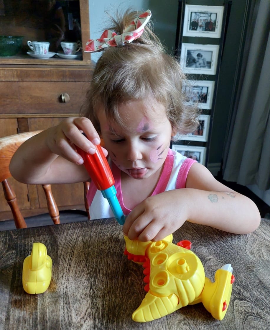 DINO WORKS T-REX DIY Take Apart Toy