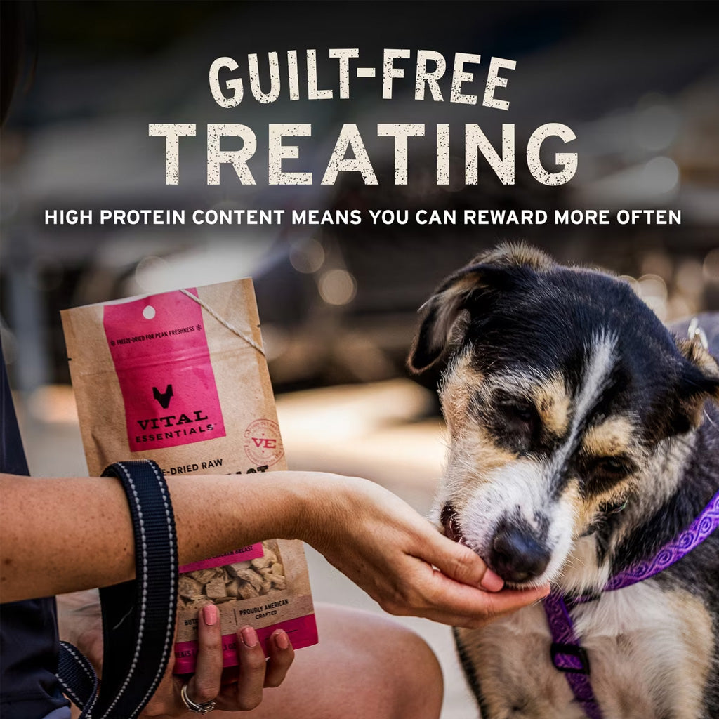 Vital Essentials Freeze-Dried Beef Tripe Nibs Treats for Dogs, 14-oz